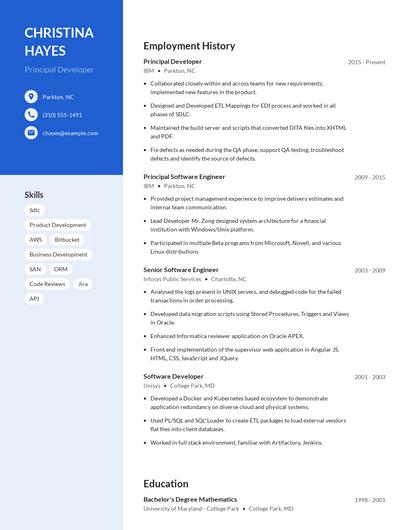 Principal Developer Resume