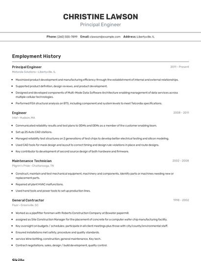 Resume example 2