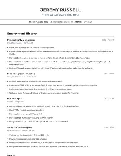 Resume example 2