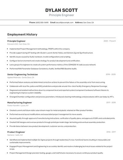 Principle Engineer Resume