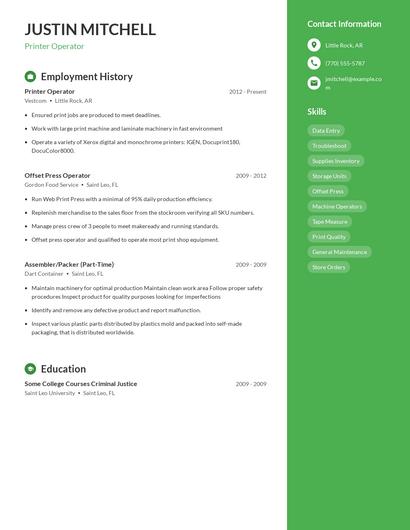Resume example 4