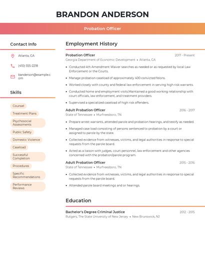 Resume example 3
