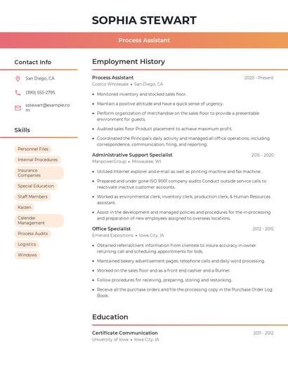 Process Assistant Resume