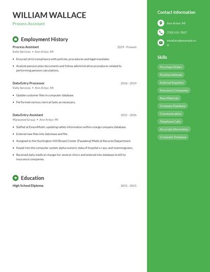 Process Assistant Resume