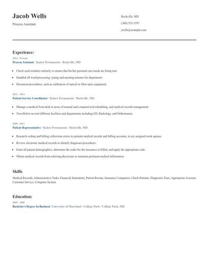 Process Assistant Resume