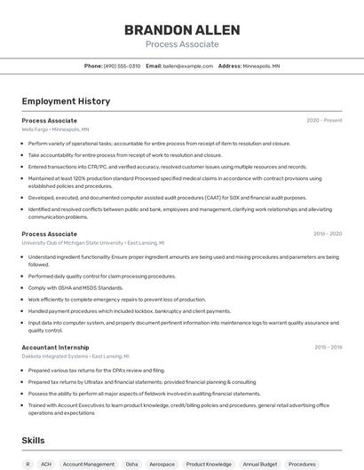 Resume example 2