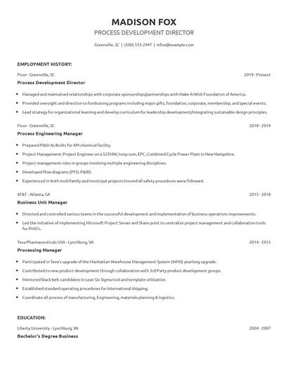 Process Development Director Resume