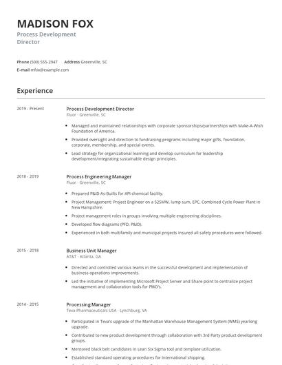 Process Development Director Resume