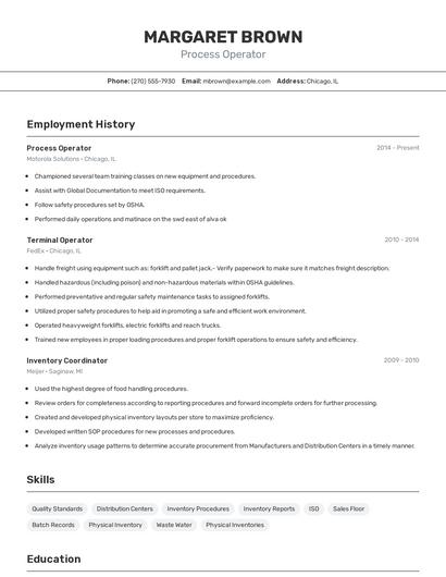 Resume example 2