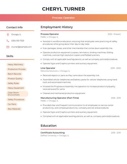 Resume example 3