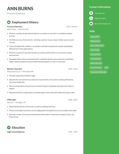 Resume example 5