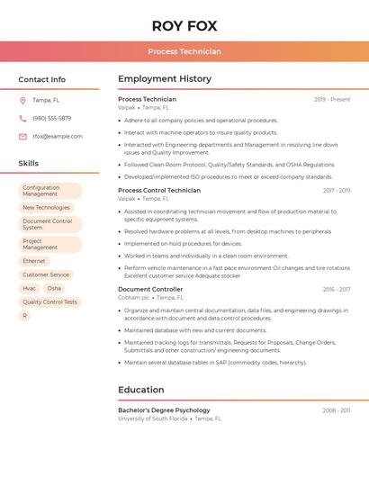 Resume example 3