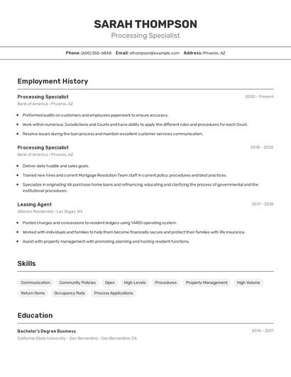 Resume example 2