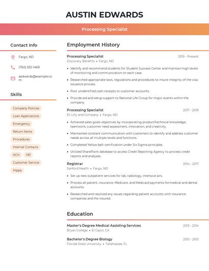 Resume example 3