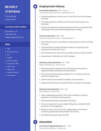 Resume example 5