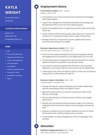 Resume example 4