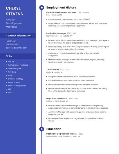 Resume example 5