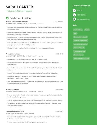 Resume example 4