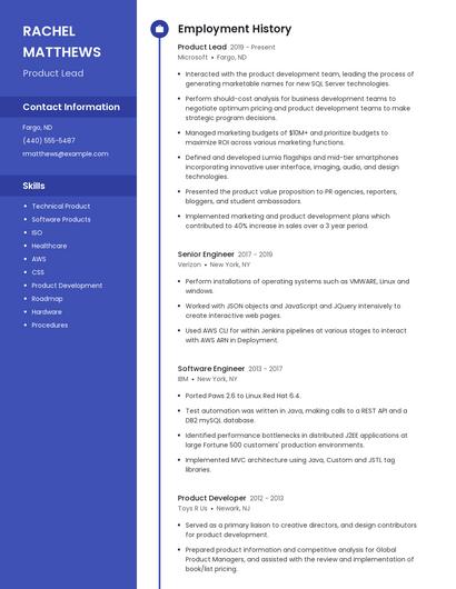 Resume example 4