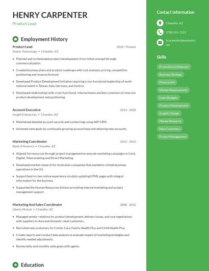 Resume example 5