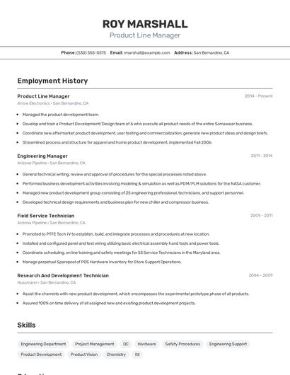 Resume example 2