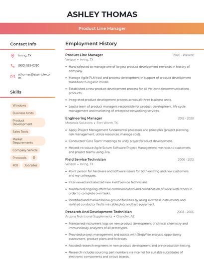 Resume example 3