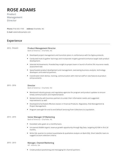 Product Management Director Resume
