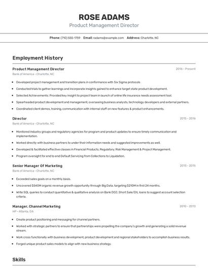 Product Management Director Resume