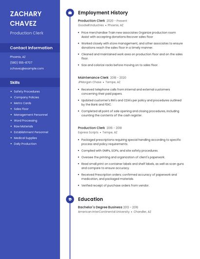 Resume example 5