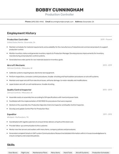 Resume example 2
