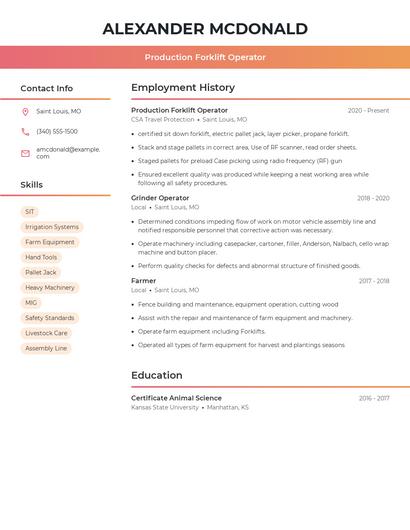 Resume example 3