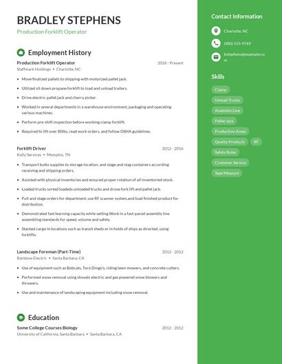 Resume example 5