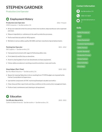 Resume example 4