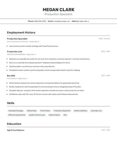 Resume example 2