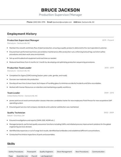 Resume example 2