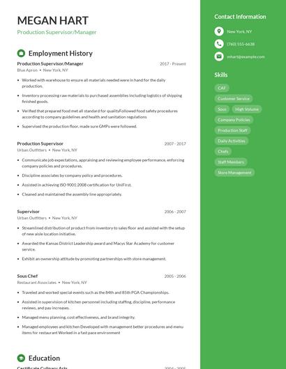 Resume example 4
