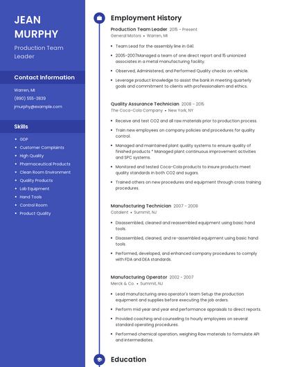 Production Team Leader Resume