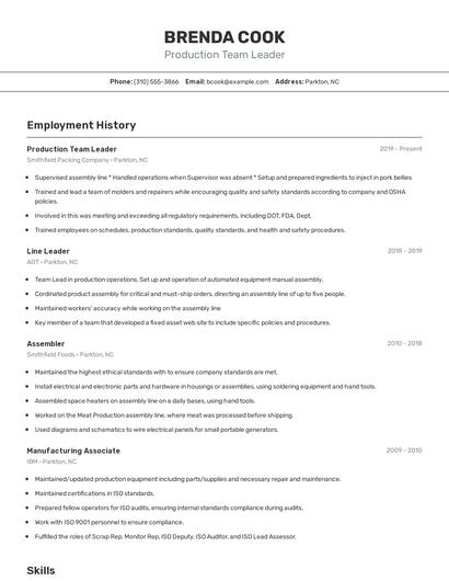 Production Team Leader Resume