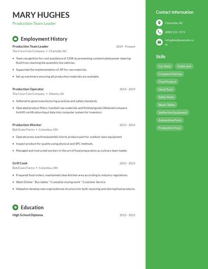 Resume example 4