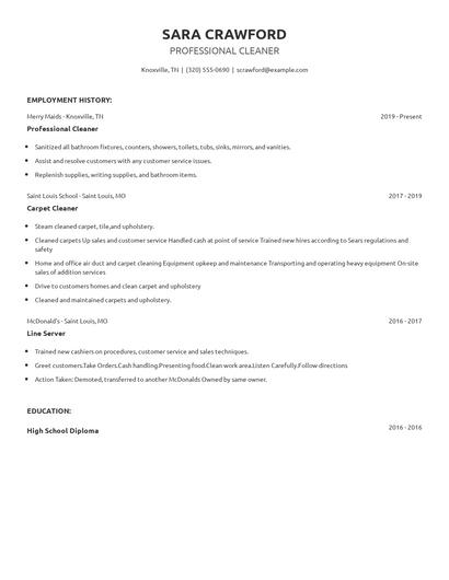 Professional Cleaner Resume