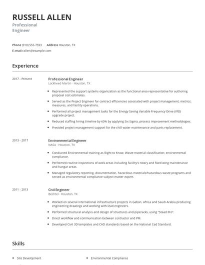 Professional Engineer Resume