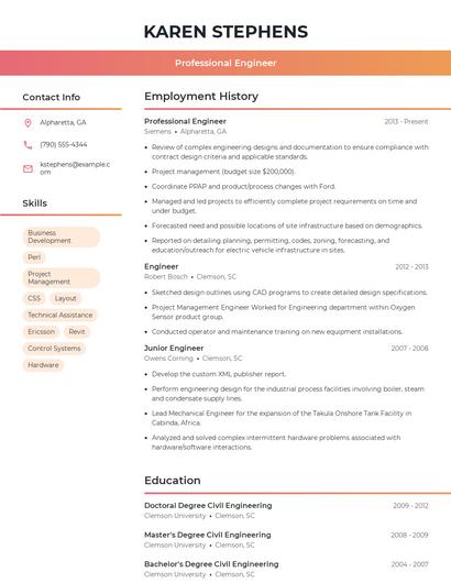 Professional Engineer Resume