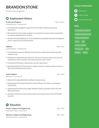 Professional Engineer Resume