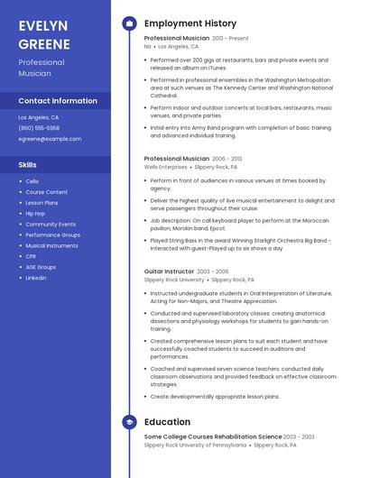 Professional Musician Resume