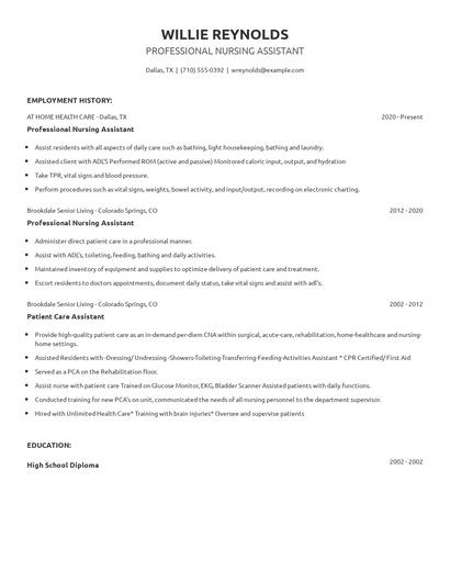 Professional Nursing Assistant Resume