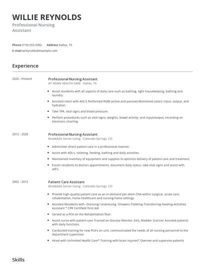 Professional Nursing Assistant Resume