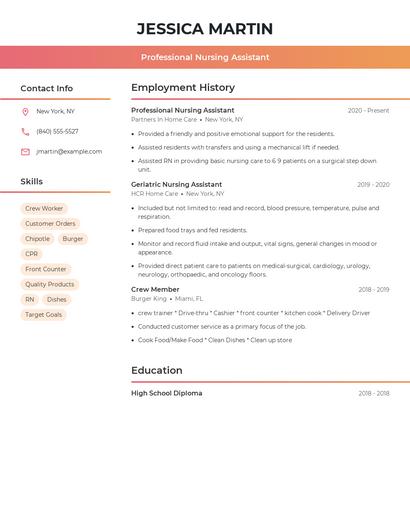 Professional Nursing Assistant Resume