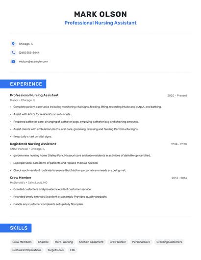 Professional Nursing Assistant Resume