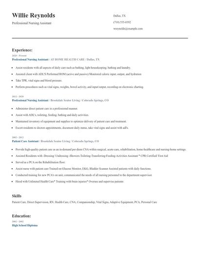 Professional Nursing Assistant Resume