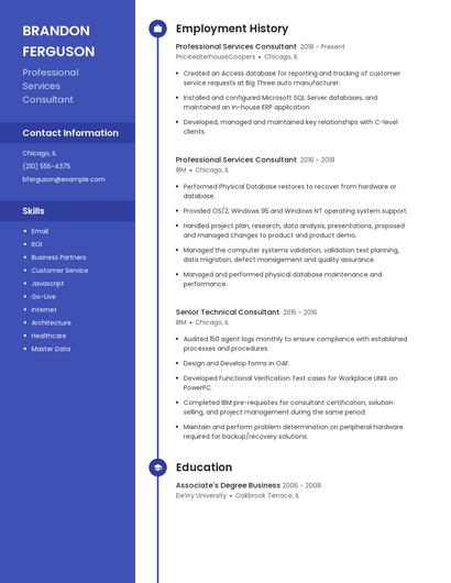 Professional Services Consultant Resume